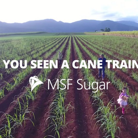 Have you seen a cane train campaign creative