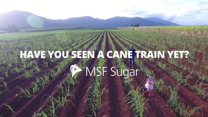 Have you seen a cane train campaign creative